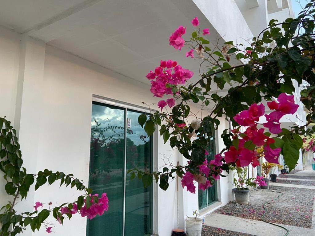 ホテル Solar Teixeira Flats Pôrto das Galinhas エクステリア 写真