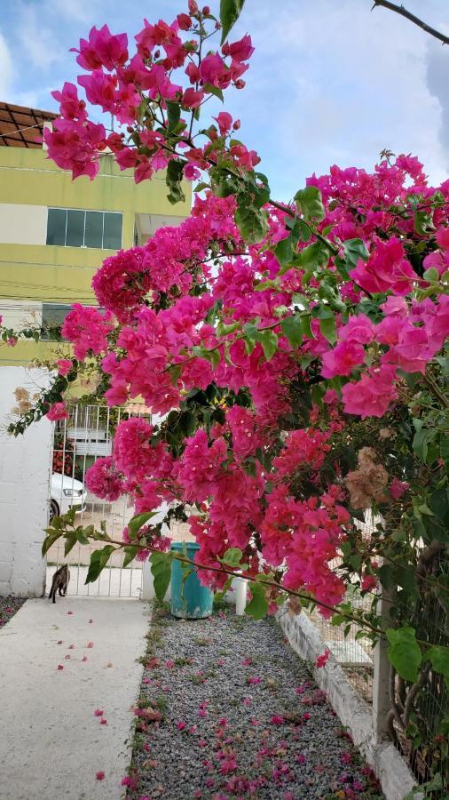 ホテル Solar Teixeira Flats Pôrto das Galinhas エクステリア 写真