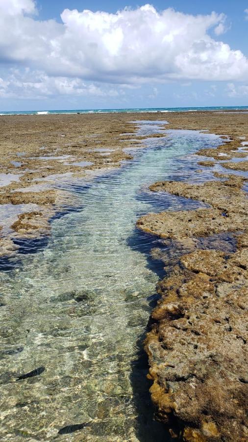 ホテル Solar Teixeira Flats Pôrto das Galinhas エクステリア 写真