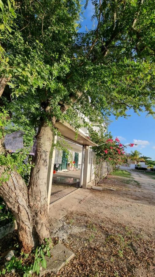 ホテル Solar Teixeira Flats Pôrto das Galinhas エクステリア 写真